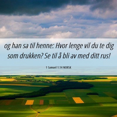 Picture 06 - 1 Samuel 1:14 NORSK - og han sa til henne: Hvor lenge vil du te dig som - Bible Verse Picture