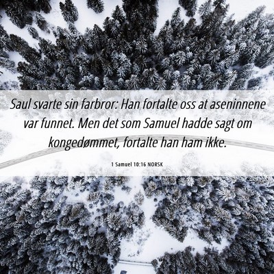 Picture 06 - 1 Samuel 10:16 NORSK - Saul svarte sin farbror: Han fortalte oss at - Bible Verse Picture