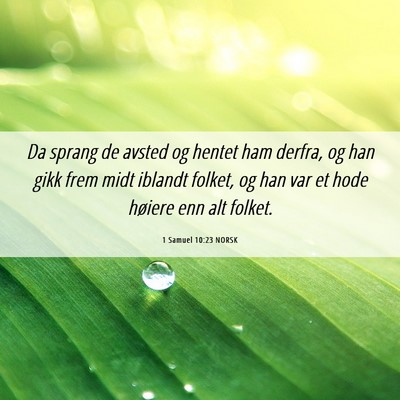 Picture 06 - 1 Samuel 10:23 NORSK - Da sprang de avsted og hentet ham derfra, og han - Bible Verse Picture