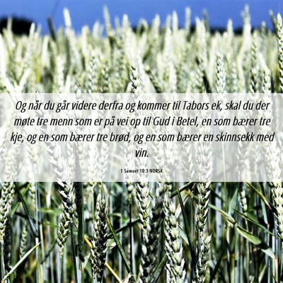 Picture 06 - 1 Samuel 10:3 NORSK - Og når du går videre derfra og kommer til - Bible Verse Picture
