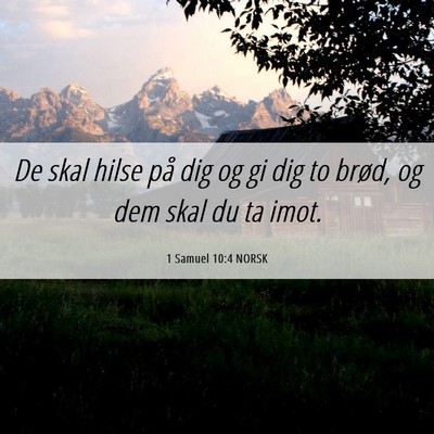 Picture 06 - 1 Samuel 10:4 NORSK - De skal hilse på dig og gi dig to brød, og dem - Bible Verse Picture