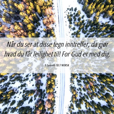 Picture 06 - 1 Samuel 10:7 NORSK - Når du ser at disse tegn inntreffer, da gjør - Bible Verse Picture