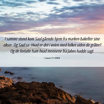 Picture 06 - 1 Samuel 11:5 NORSK - I samme stund kom Saul gående hjem fra marken - Bible Verse Picture