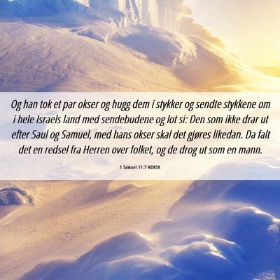 Picture 06 - 1 Samuel 11:7 NORSK - Og han tok et par okser og hugg dem i stykker og - Bible Verse Picture