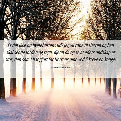 Picture 06 - 1 Samuel 12:17 NORSK - Er det ikke nu hvetehøstens tid? Jeg vil rope - Bible Verse Picture