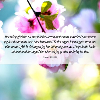 Picture 06 - 1 Samuel 12:3 NORSK - Her står jeg! Vidne nu mot mig for Herren og for - Bible Verse Picture