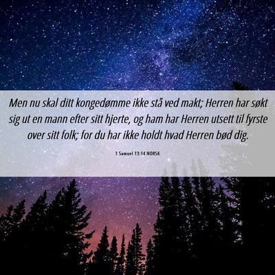 Picture 06 - 1 Samuel 13:14 NORSK - Men nu skal ditt kongedømme ikke stå ved makt; - Bible Verse Picture