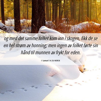 Picture 06 - 1 Samuel 14:26 NORSK - og med det samme folket kom inn i skogen, fikk de - Bible Verse Picture