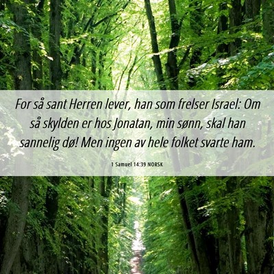Picture 06 - 1 Samuel 14:39 NORSK - For så sant Herren lever, han som frelser - Bible Verse Picture