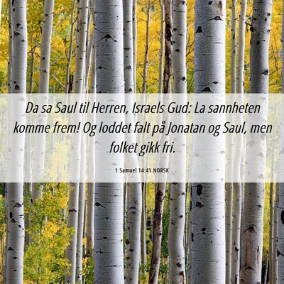 Picture 06 - 1 Samuel 14:41 NORSK - Da sa Saul til Herren, Israels Gud: La sannheten - Bible Verse Picture
