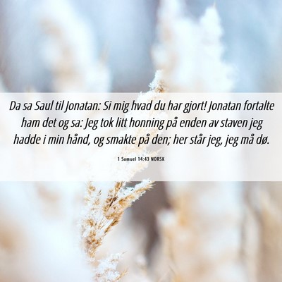Picture 06 - 1 Samuel 14:43 NORSK - Da sa Saul til Jonatan: Si mig hvad du har gjort! - Bible Verse Picture