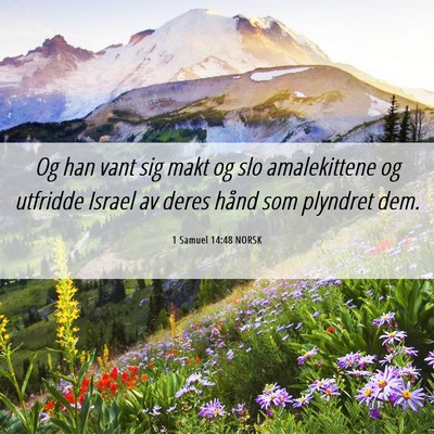 Picture 06 - 1 Samuel 14:48 NORSK - Og han vant sig makt og slo amalekittene og - Bible Verse Picture