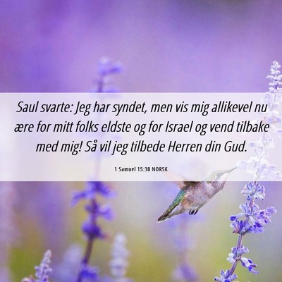 Picture 06 - 1 Samuel 15:30 NORSK - Saul svarte: Jeg har syndet, men vis mig - Bible Verse Picture