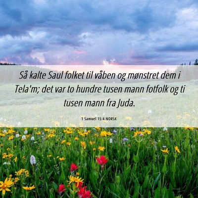 Picture 06 - 1 Samuel 15:4 NORSK - Så kalte Saul folket til våben og mønstret dem - Bible Verse Picture