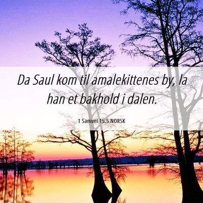 Picture 06 - 1 Samuel 15:5 NORSK - Da Saul kom til amalekittenes by, la han et - Bible Verse Picture