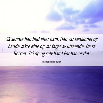 Picture 06 - 1 Samuel 16:12 NORSK - Så sendte han bud efter ham. Han var rødkinnet - Bible Verse Picture