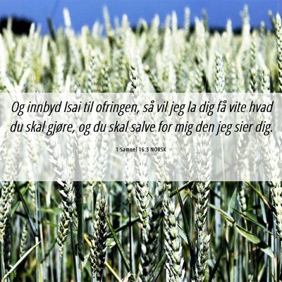 Picture 06 - 1 Samuel 16:3 NORSK - Og innbyd Isai til ofringen, så vil jeg la dig - Bible Verse Picture