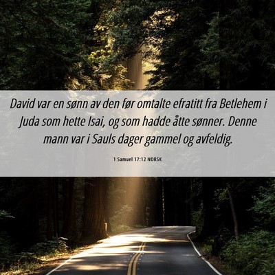 Picture 06 - 1 Samuel 17:12 NORSK - David var en sønn av den før omtalte efratitt - Bible Verse Picture