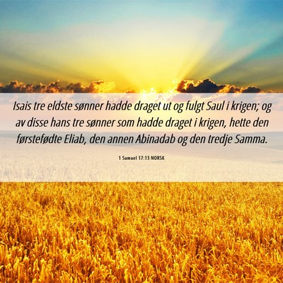 Picture 06 - 1 Samuel 17:13 NORSK - Isais tre eldste sønner hadde draget ut og fulgt - Bible Verse Picture