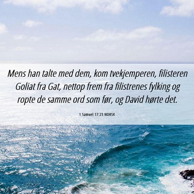 Picture 06 - 1 Samuel 17:23 NORSK - Mens han talte med dem, kom tvekjemperen, - Bible Verse Picture