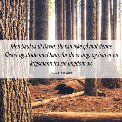Picture 06 - 1 Samuel 17:33 NORSK - Men Saul sa til David: Du kan ikke gå mot denne - Bible Verse Picture