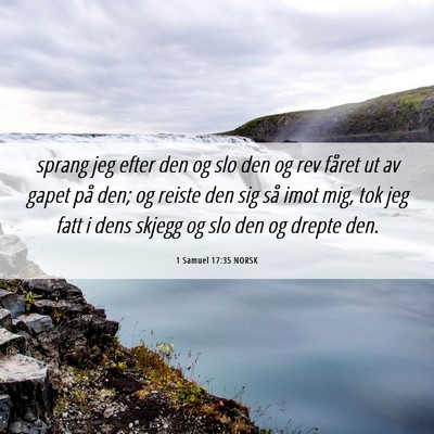 Picture 06 - 1 Samuel 17:35 NORSK - sprang jeg efter den og slo den og rev fåret ut - Bible Verse Picture