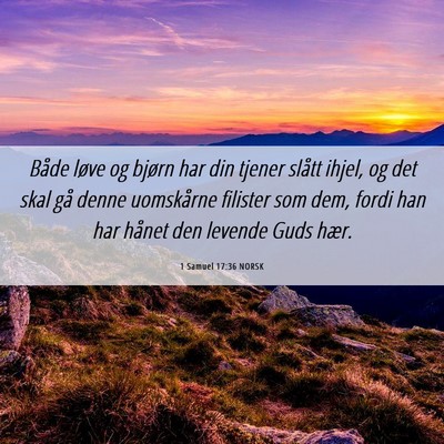 Picture 06 - 1 Samuel 17:36 NORSK - Både løve og bjørn har din tjener slått - Bible Verse Picture