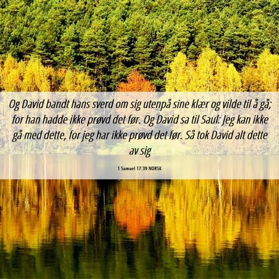 Picture 06 - 1 Samuel 17:39 NORSK - Og David bandt hans sverd om sig utenpå sine - Bible Verse Picture