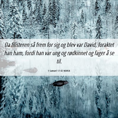 Picture 06 - 1 Samuel 17:42 NORSK - Da filisteren så frem for sig og blev var David, - Bible Verse Picture
