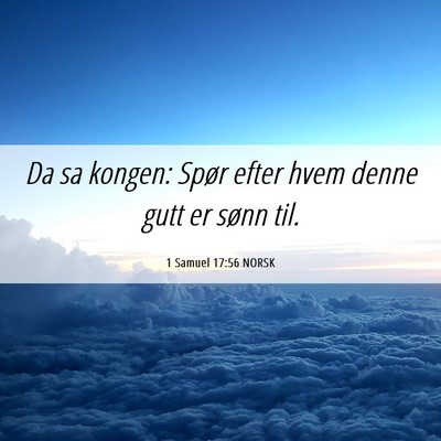 Picture 06 - 1 Samuel 17:56 NORSK - Da sa kongen: Spør efter hvem denne gutt er - Bible Verse Picture