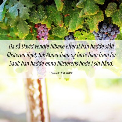Picture 06 - 1 Samuel 17:57 NORSK - Da så David vendte tilbake efterat han hadde - Bible Verse Picture