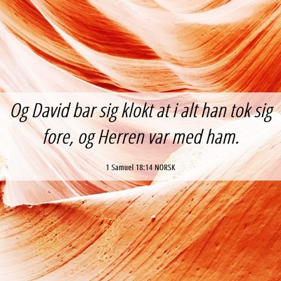Picture 06 - 1 Samuel 18:14 NORSK - Og David bar sig klokt at i alt han tok sig fore, - Bible Verse Picture