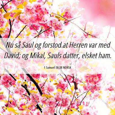 Picture 06 - 1 Samuel 18:28 NORSK - Nu så Saul og forstod at Herren var med David; - Bible Verse Picture