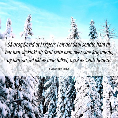 Picture 06 - 1 Samuel 18:5 NORSK - Så drog David ut i krigen; i alt det Saul sendte - Bible Verse Picture