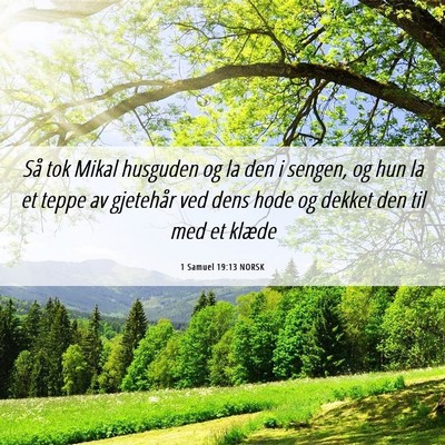 Picture 06 - 1 Samuel 19:13 NORSK - Så tok Mikal husguden og la den i sengen, og hun - Bible Verse Picture