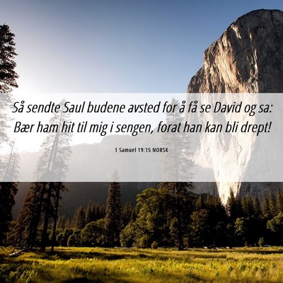 Picture 06 - 1 Samuel 19:15 NORSK - Så sendte Saul budene avsted for å få se David - Bible Verse Picture