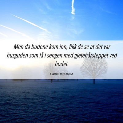 Picture 06 - 1 Samuel 19:16 NORSK - Men da budene kom inn, fikk de se at det var - Bible Verse Picture