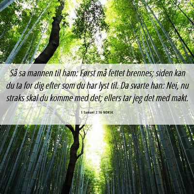 Picture 06 - 1 Samuel 2:16 NORSK - Så sa mannen til ham: Først må fettet brennes; - Bible Verse Picture