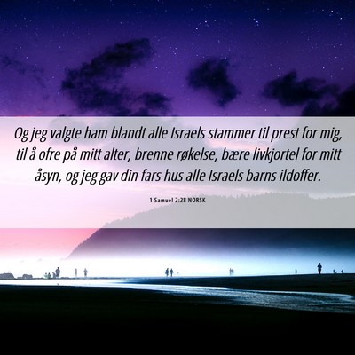 Picture 06 - 1 Samuel 2:28 NORSK - Og jeg valgte ham blandt alle Israels stammer til - Bible Verse Picture