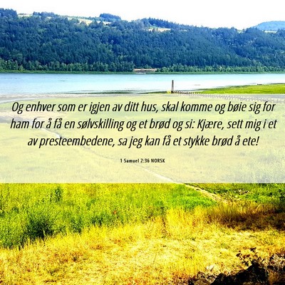 Picture 06 - 1 Samuel 2:36 NORSK - Og enhver som er igjen av ditt hus, skal komme og - Bible Verse Picture