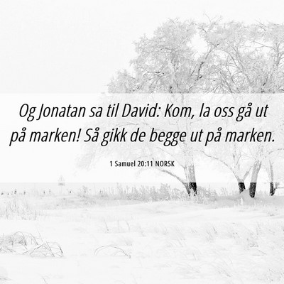 Picture 06 - 1 Samuel 20:11 NORSK - Og Jonatan sa til David: Kom, la oss gå ut på - Bible Verse Picture