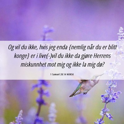 Picture 06 - 1 Samuel 20:14 NORSK - Og vil du ikke, hvis jeg enda {nemlig når du er - Bible Verse Picture
