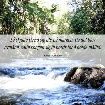 Picture 06 - 1 Samuel 20:24 NORSK - Så skjulte David sig ute på marken. Da det blev - Bible Verse Picture
