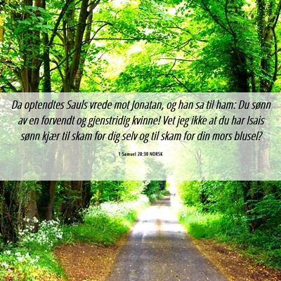 Picture 06 - 1 Samuel 20:30 NORSK - Da optendtes Sauls vrede mot Jonatan, og han sa - Bible Verse Picture