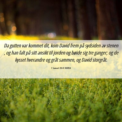 Picture 06 - 1 Samuel 20:41 NORSK - Da gutten var kommet dit, kom David frem på - Bible Verse Picture