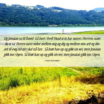 Picture 06 - 1 Samuel 20:42 NORSK - Og Jonatan sa til David: Gå bort i fred! Hvad vi - Bible Verse Picture