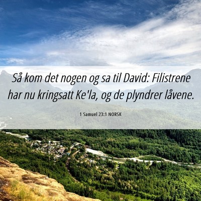 Picture 06 - 1 Samuel 23:1 NORSK - Så kom det nogen og sa til David: Filistrene har - Bible Verse Picture
