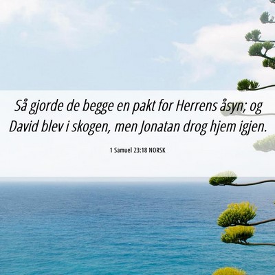 Picture 06 - 1 Samuel 23:18 NORSK - Så gjorde de begge en pakt for Herrens åsyn; og - Bible Verse Picture