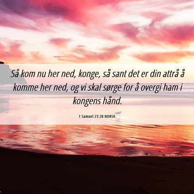 Picture 06 - 1 Samuel 23:20 NORSK - Så kom nu her ned, konge, så sant det er din - Bible Verse Picture