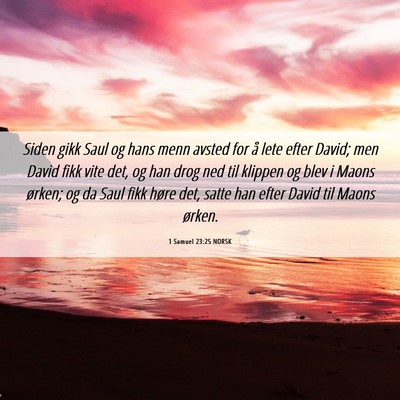 Picture 06 - 1 Samuel 23:25 NORSK - Siden gikk Saul og hans menn avsted for å lete - Bible Verse Picture